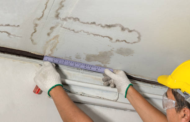Reliable Water Damage Repair contractor in Rumson, NJ by Hirex Water Damage
